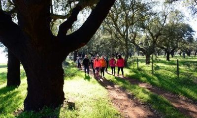 Terrugem recebe Trail do Aleluias para celebrar a Páscoa na natureza