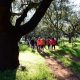 Terrugem recebe Trail do Aleluias para celebrar a Páscoa na natureza