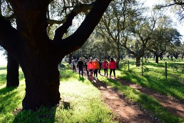Terrugem recebe Trail do Aleluias para celebrar a Páscoa na natureza