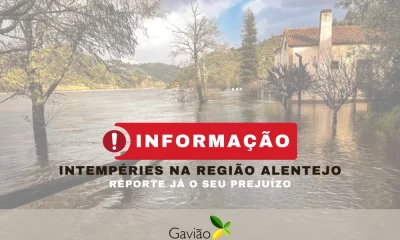 Gavião: Aberto processo de levantamento de prejuízos causados pelas tempestades