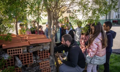 CM Pampilhosa da Serra / Programa Eco-Escolas regressa com ação ambiental em dose dupla