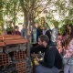 CM Pampilhosa da Serra / Programa Eco-Escolas regressa com ação ambiental em dose dupla