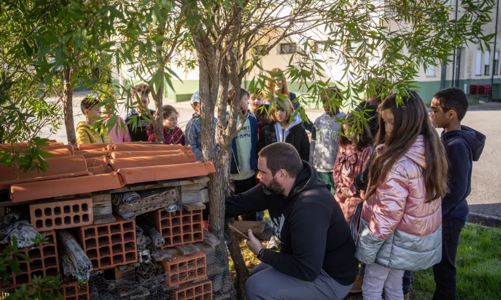 CM Pampilhosa da Serra / Programa Eco-Escolas regressa com ação ambiental em dose dupla