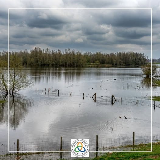 RISCO DE CHEIAS E INUNDAÇÕES > 𝐌𝐄𝐃𝐈𝐃𝐀𝐒 𝐏𝐑𝐄𝐕𝐄𝐍𝐓𝐈𝐕𝐀𝐒 
 
A chuva intensa dos últi…