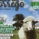 Castro Verde: Inscrições abertas para o Festival Sabores do Borrego