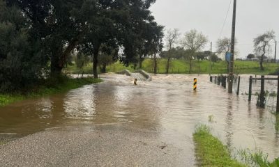 AVISO À POPULAÇÃO 

 Ponte do Azinhal, em Vila Nova da Baronia, está interdita …