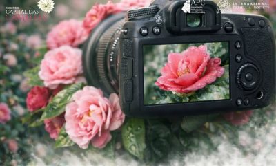 Celorico de Basto lança III Prémio Fotográfico “Camellia” inserido na Festa Internacional das Camélias
