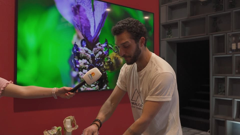 Já imaginaram fazer uma prova cega de águas? É uma experiência única e sensorial…