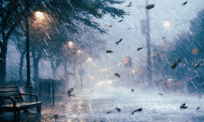 Oriana traz chuva e vento