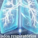 A Direção Executiva do SNS garantiu a identificação e o contacto de todos os ute…