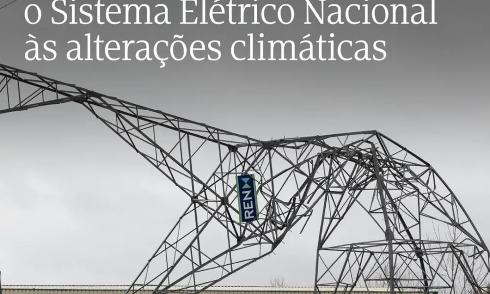A Ministra do Ambiente e Energia, Maria da Graça Carvalho, determinou a realizaç…