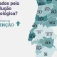 A automação e a inteligência artificial estão a transformar o mercado de trabalh…