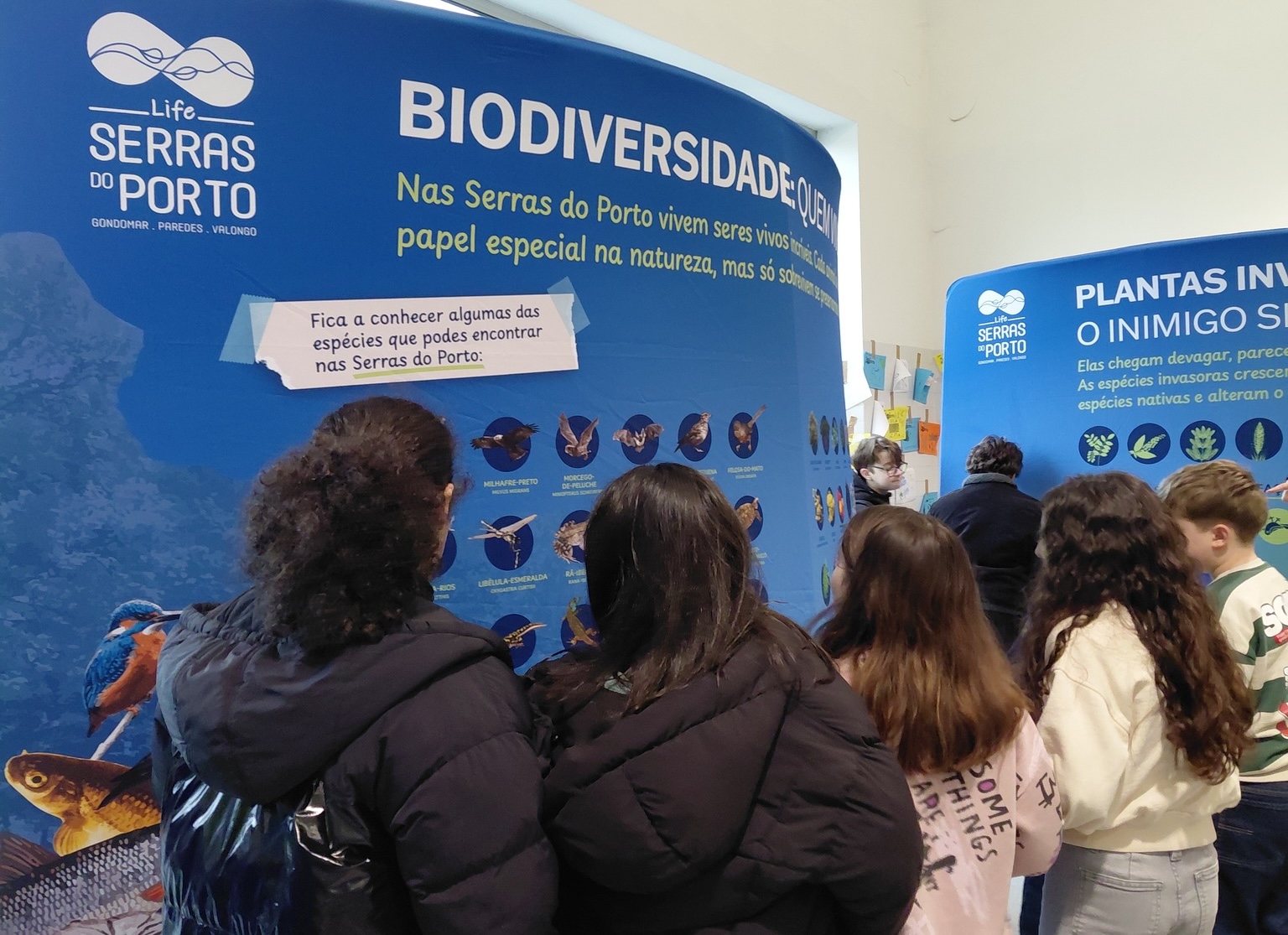 Agrupamento de Escolas Daniel Faria, em Paredes, acolhe exposição sobre biodiversidade das Serras do Porto