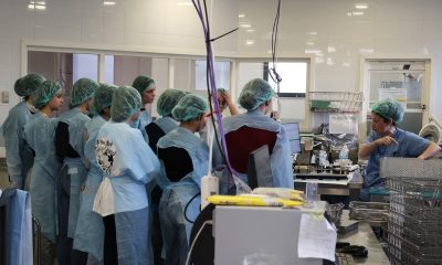 Alunos de Penafiel visitam Serviço de Esterilização do Hospital Padre Américo para aprender sobre prevenção de infeções