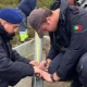 As Forças Armadas têm mais de mil militares empenhados no terreno para apoio dir…