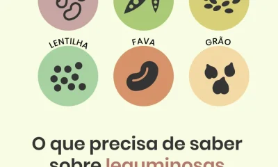 As leguminosas são alimentos muito ricos em nutrientes e proporcionam elevados …