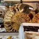 uma viagem ao mundo da geologia, fósseis e minerais