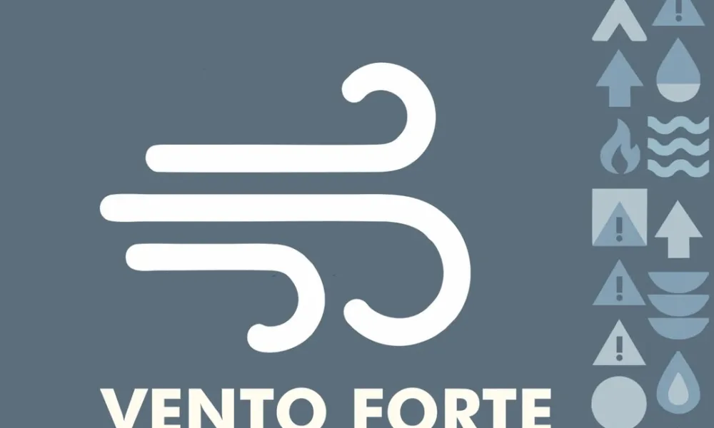 Aviso Amarelo | Vento forte (2 de fevereiro) 

O Serviço Municipal de Proteção …