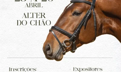 Inscrições abertas para a 9.ª Feira de São Marcos em Alter do Chão