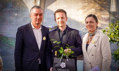 Celorico de Basto promove camélias e património em mostra integrada no Festival Internacional de Lousada