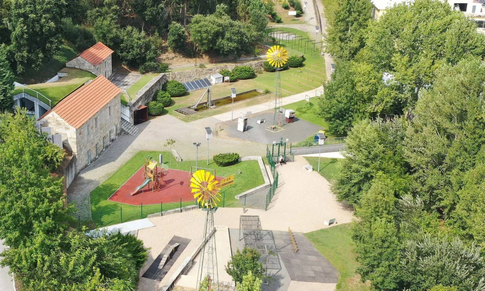 U.Porto e Câmara de Gondomar unidas em ação de voluntariado ambiental