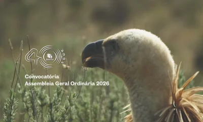 Convocatória – Assembleia Geral Ordinária