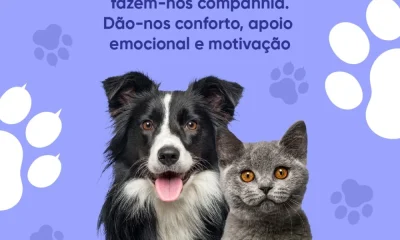 Cuidar de um animal de estimação é um compromisso sério e traz muitos benefícios…