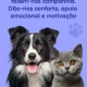 Cuidar de um animal de estimação é um compromisso sério e traz muitos benefícios…