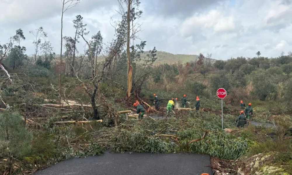Depressão Kristin – Brigada de Sapadores Florestais Intermunicipal em apoio à Su…