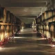 Alentejo e Ribatejo em destaque na BTL com aposta no Enoturismo