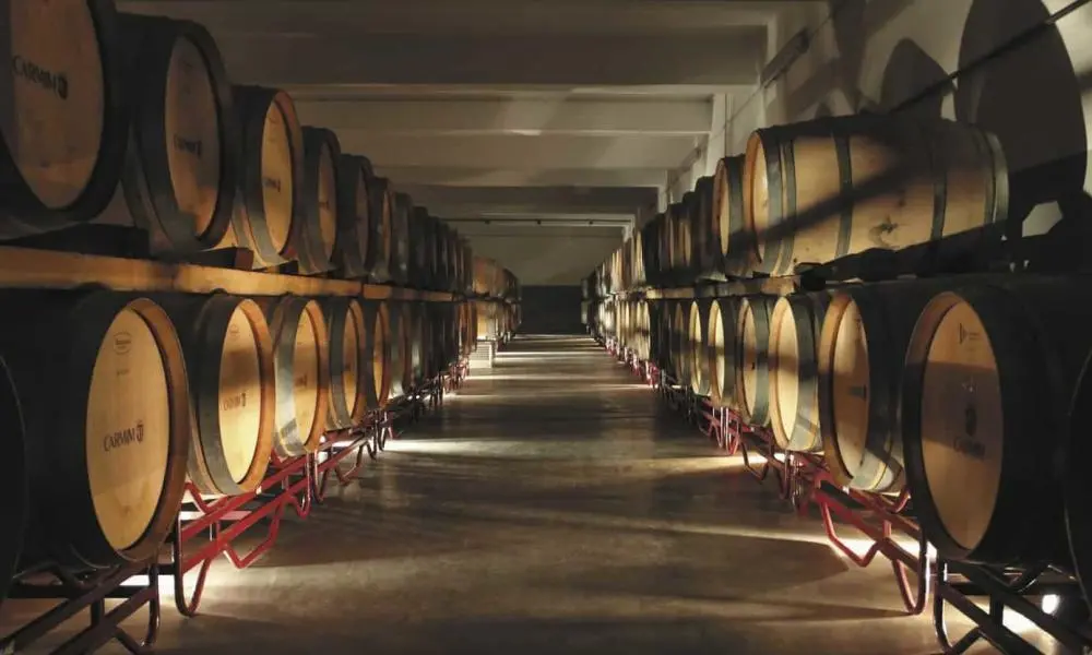 Alentejo e Ribatejo em destaque na BTL com aposta no Enoturismo