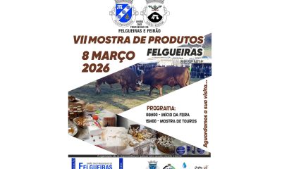 Felgueiras (Resende) acolhe VII Mostra de Produtos no dia 8 de março com feira e mostra de touros