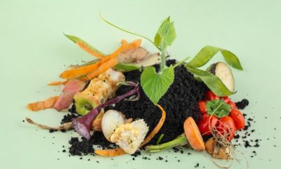 Felgueiras lança ciclo de workshops de sustentabilidade urbana com oferta de compostor doméstico