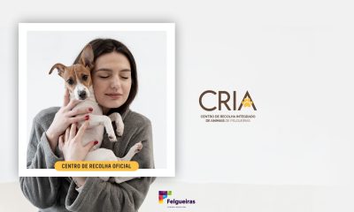 Felgueiras registou adoção de quase mil animais através do seu centro municipal em 2025