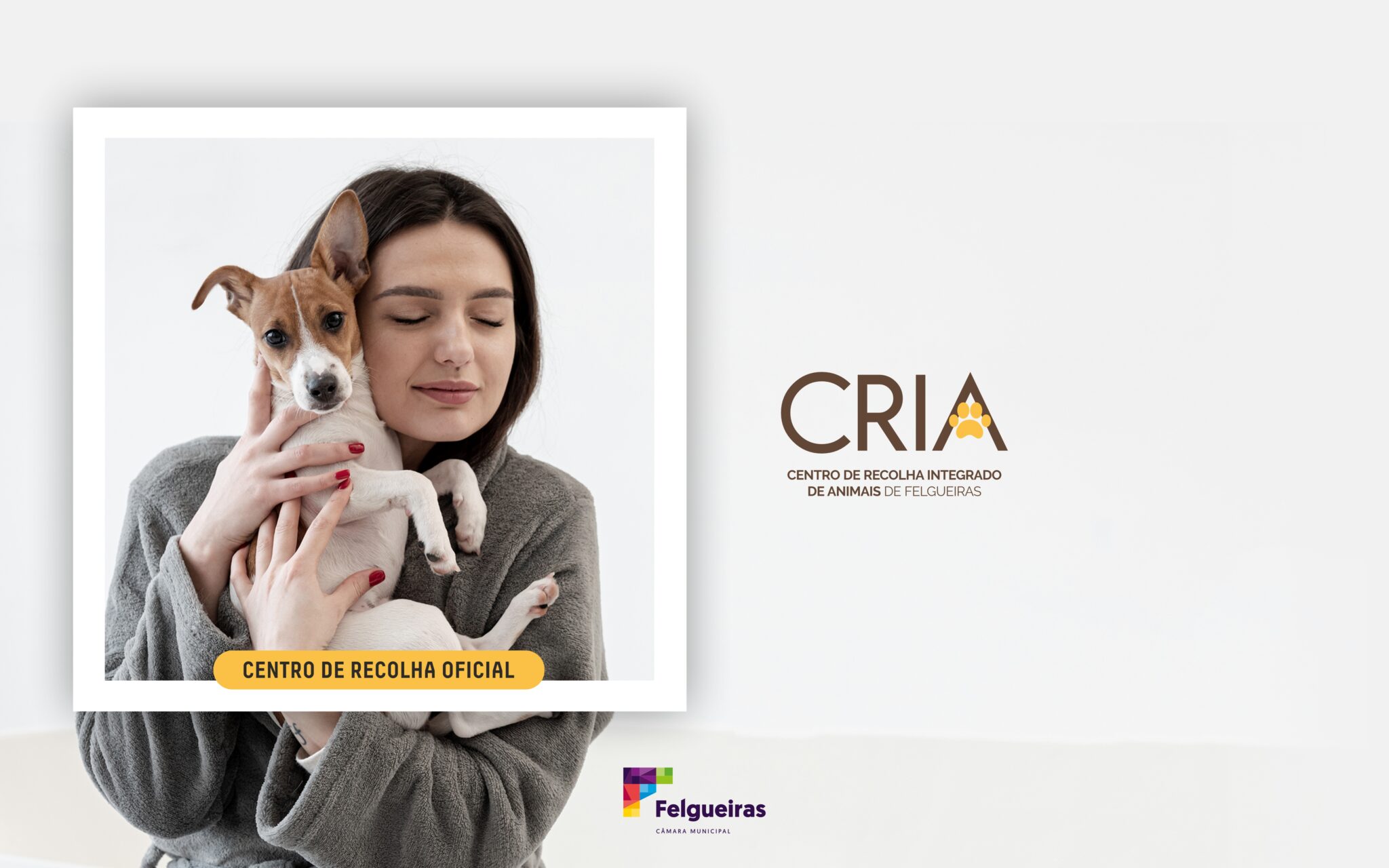 Felgueiras registou adoção de quase mil animais através do seu centro municipal em 2025