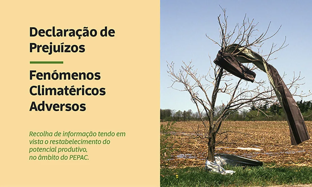 Informação |  Declaração de Prejuízos – Fenómenos Climatéricos Adversos  

A Com…