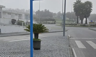 Instalação de novos postaletes assinala a expansão do serviço do Transporte a Pe…