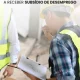 Já conheces o IRT Jovem — Incentivo de Regresso ao Trabalho para Jovens Desempr…