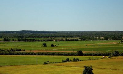 Proteção Civil baixa nível de alerta e prepara operações de limpeza no Tejo