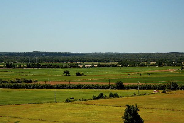 Proteção Civil baixa nível de alerta e prepara operações de limpeza no Tejo