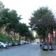 Marco de Canaveses realiza trabalhos de arboricultura na Rua Amália Rodrigues entre 23 e 27 de fevereiro