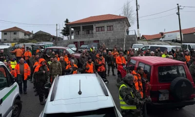 Montaria no Montemuro abate 20 javalis numa ação de controlo populacional com 150 caçadores