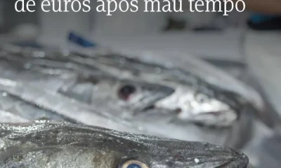 O Governo disponibiliza 3,5 milhões de euros em apoio extraordinário ao setor d…