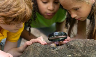 Penafiel apresenta esta terça-feira iniciativa Gulbenkian Aprender que investe 3,4 milhões em alunos do Tâmega e Sousa