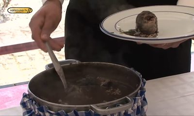 Penafiel celebra lampreia com festival no Cais de Entre-os-Rios e rota gastronómica em 15 restaurantes