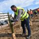 Penafiel cria florestas nativas com método Miyawaki para recuperação ecológica e envolvimento comunitário