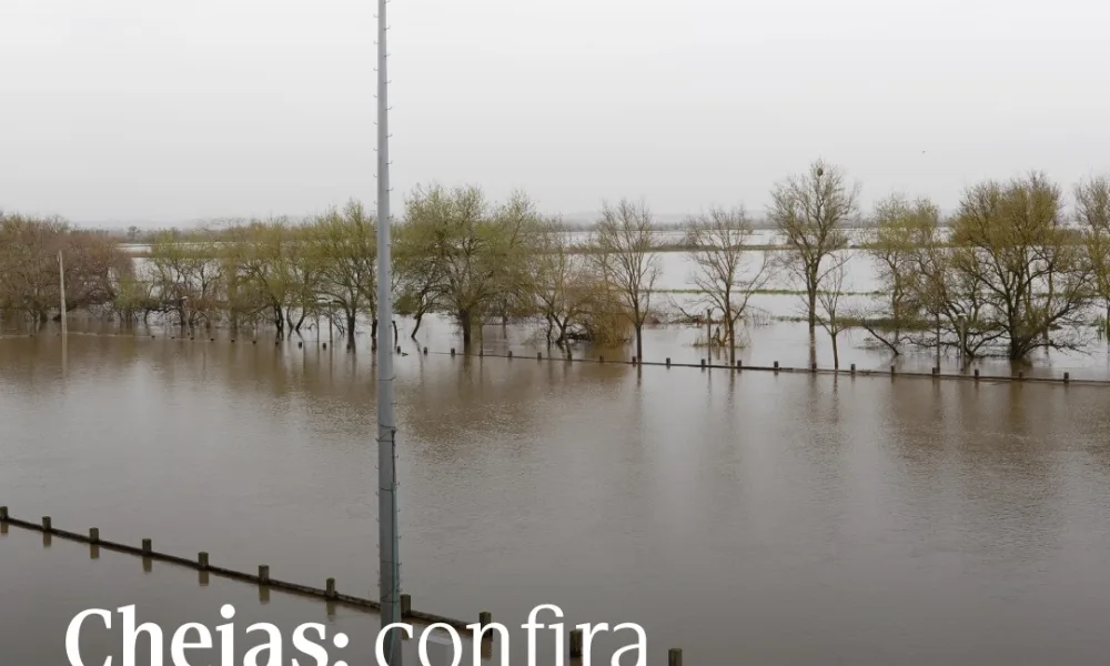Perante a previsão de forte precipitação e a continuação do risco de cheias nos…