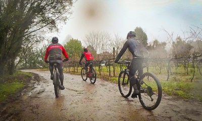 V Rota das Camélias: Lousada prepara passeio de BTT de 35 km para 22 de Fevereiro