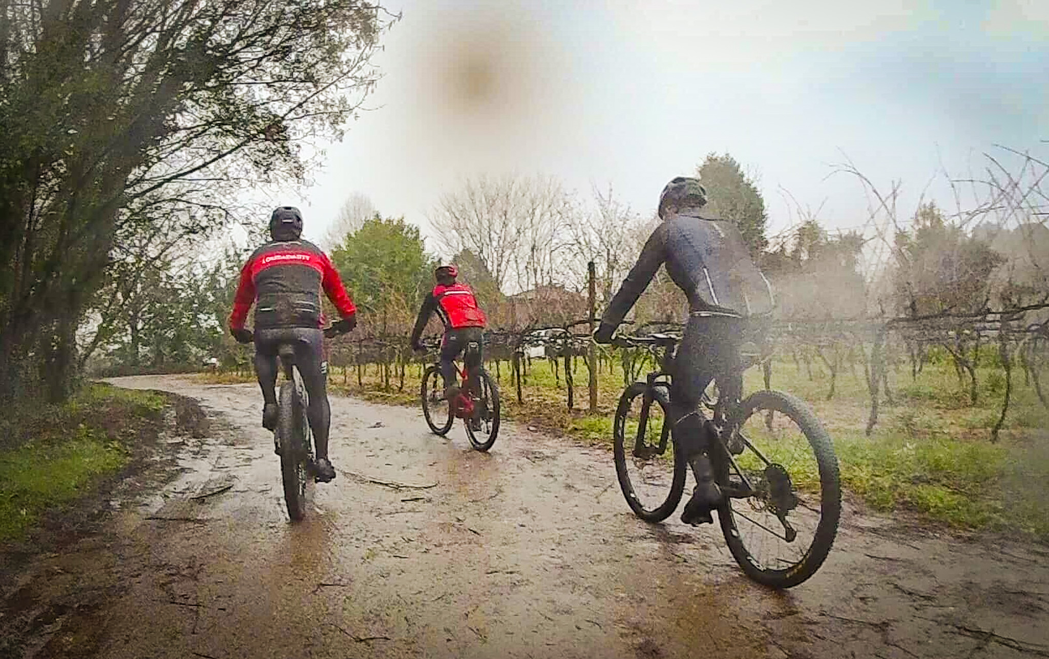 V Rota das Camélias: Lousada prepara passeio de BTT de 35 km para 22 de Fevereiro