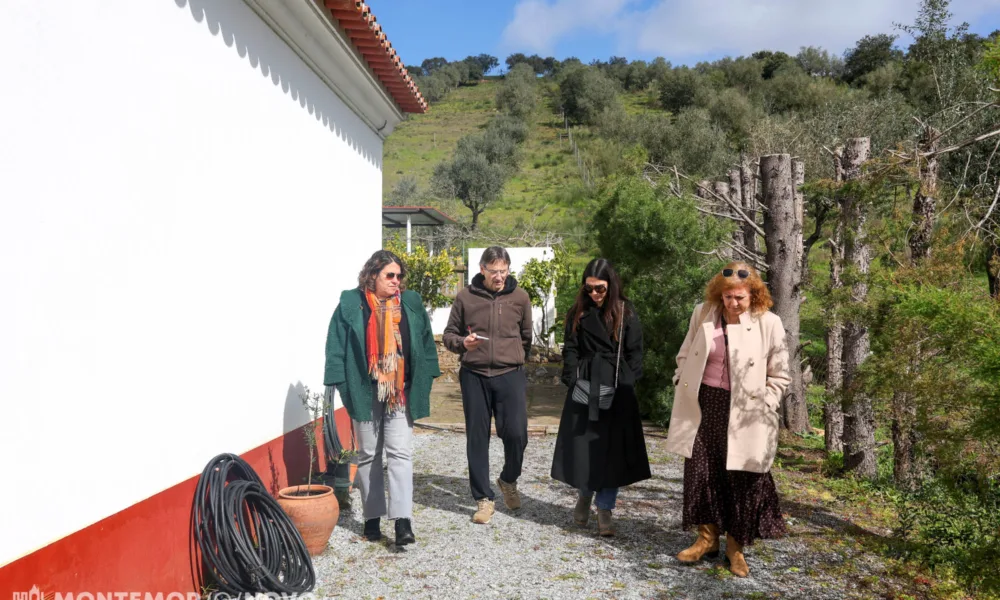 Município de Montemor-o-Novo retoma visitas a agentes turísticos do concelho